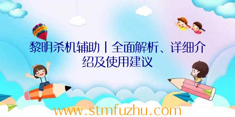 黎明杀机辅助|全面解析、详细介绍及使用建议